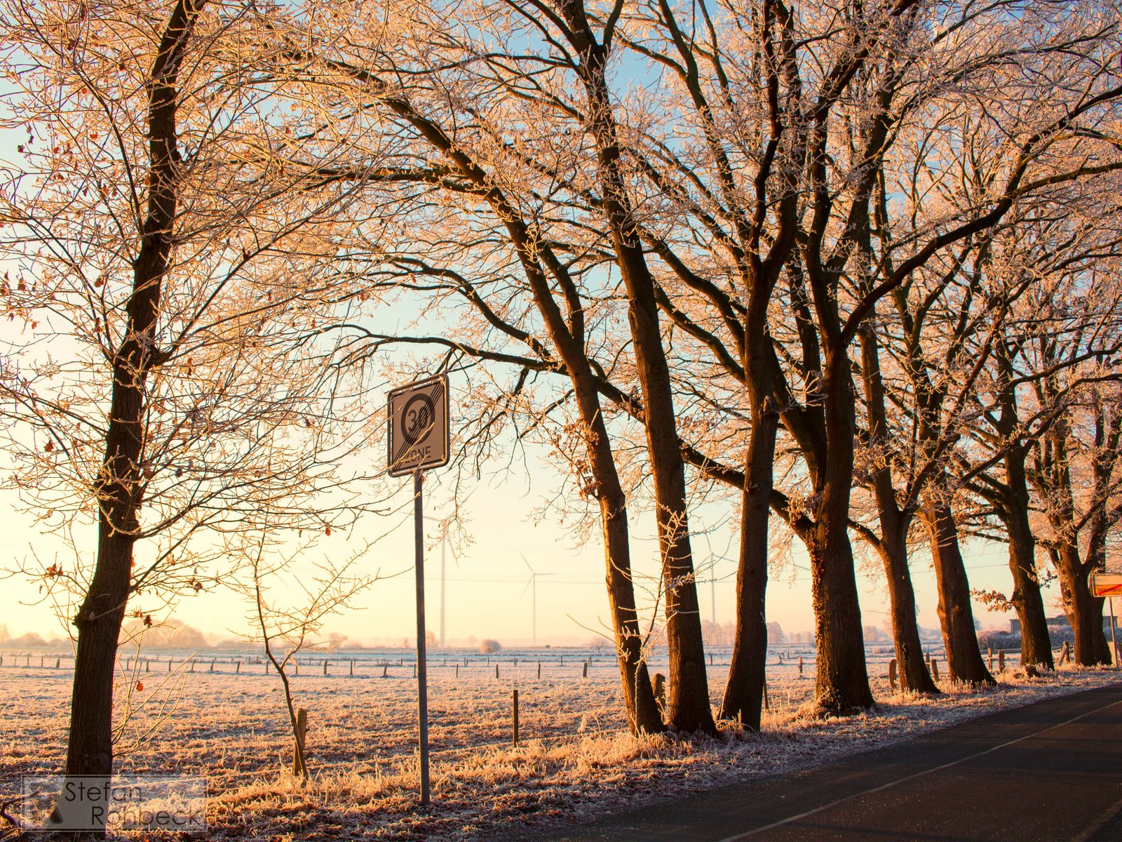 Straße mit Bäumen im Winter